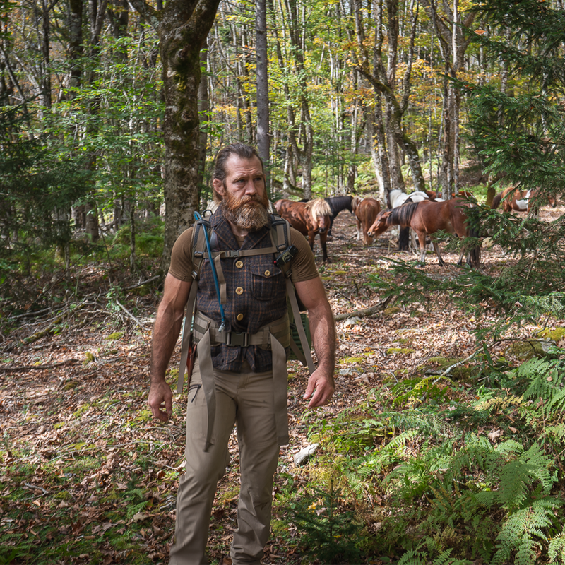 Ketchum Vest | Forest Night